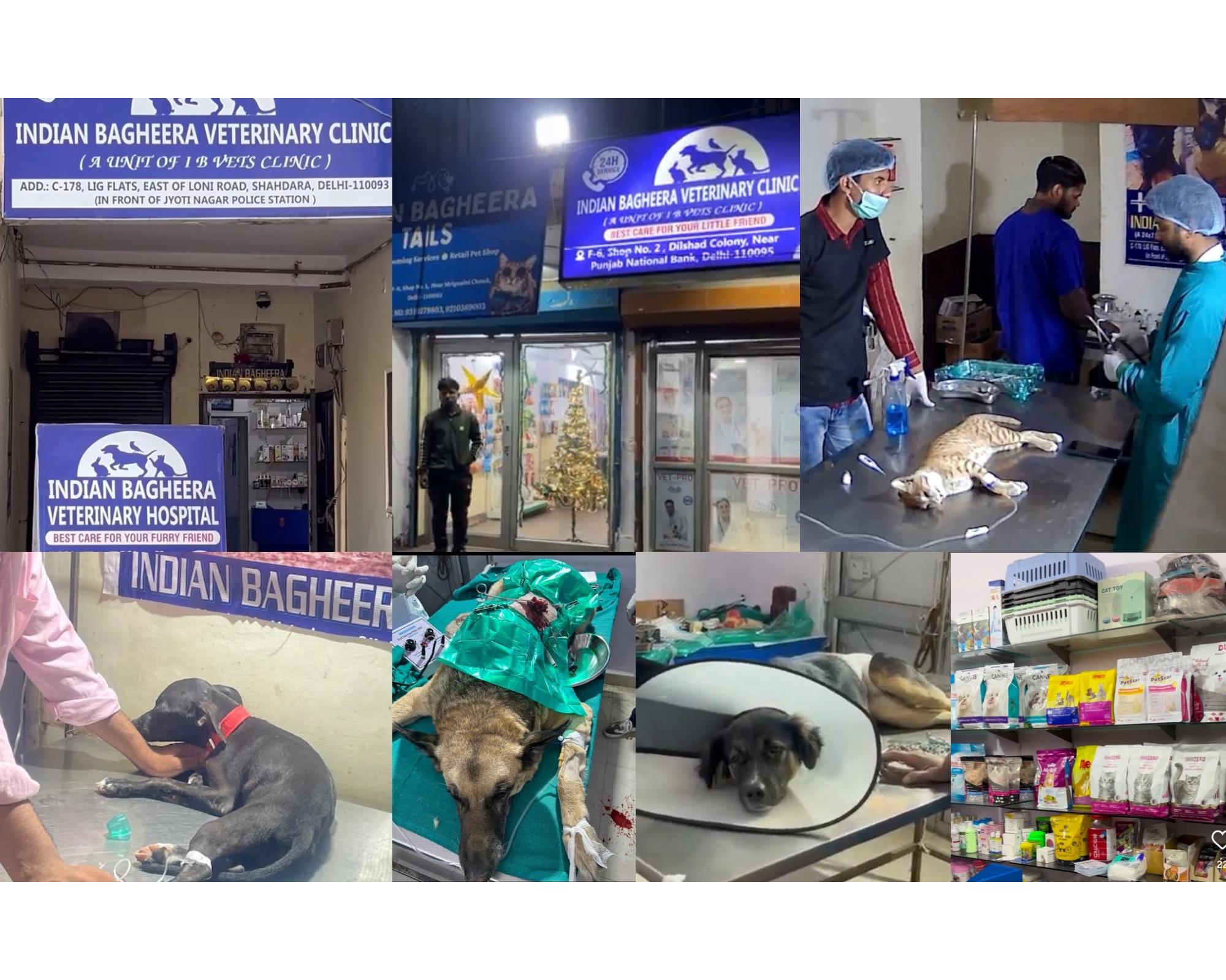 Indian Bagheera Veterinary Hospital